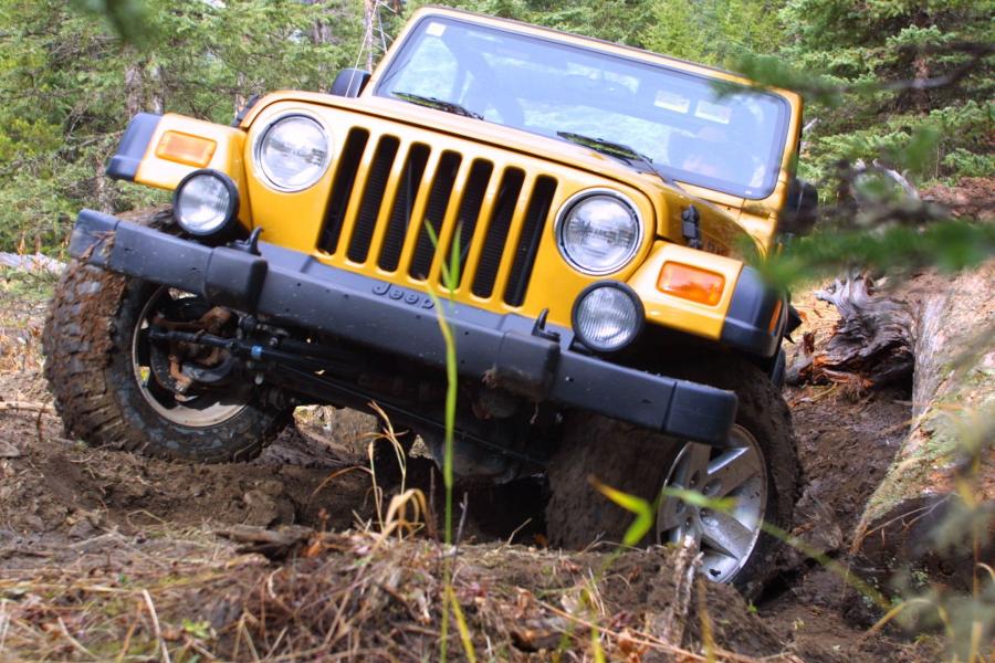  Jeep Wrangler Rubicon 2003 года  (фото 36 из 59)